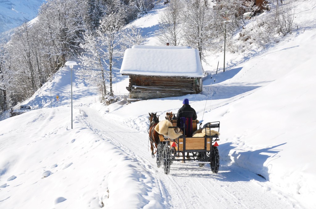 Pferdeschlittenfahrten und Pferdekutschenfahrten in Kleinarl &copy; Shutterstock