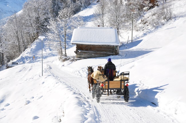 Pferdeschlittenfahrten in Wagrain-Kleinarl &copy; Shutterstock