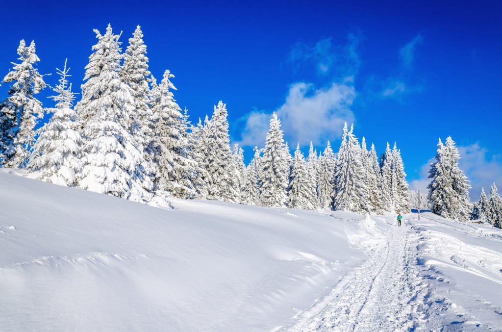 Winterwandern, Schneeschuhwandern und Skitouren gehen in Wagrain-Kleinarl &copy; Shutterstock