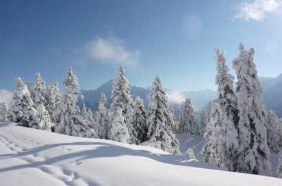 Snow-covered landscapes
